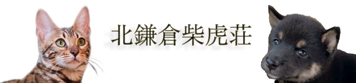 北鎌倉柴虎荘
